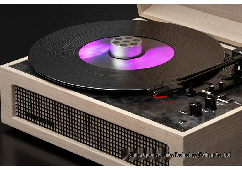 Aluminum Vinyl Record Weight LP Stabilizer - Shock Absorbing Turntable Accessory