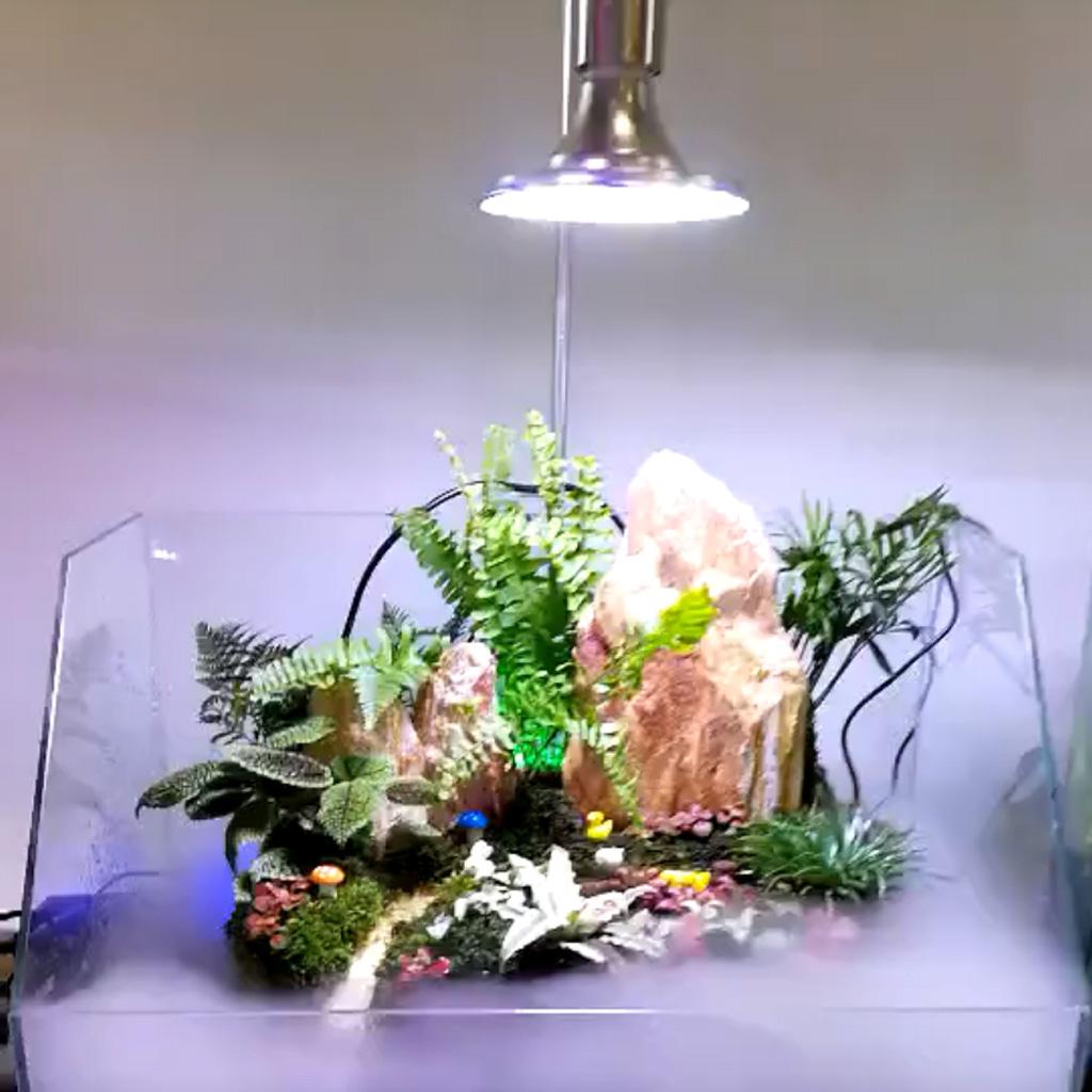 Clip On Aquarium LED Light for Water Plant Grass Growth Lighting Lamp for Turtles Reptiles FishTanks Landscape Accessory