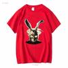 Donnie Darko T Shirt Long or Short Sleeves Vintage Washed Breathable Top For Everyday Wear Fashion Stylish Streetwear Slightly