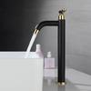 Bathroom Basin Faucet Single 304 Stainless Steel Cold Water Bathroom Sink Faucets Black and Gold  Single Handle Washbasin Tap