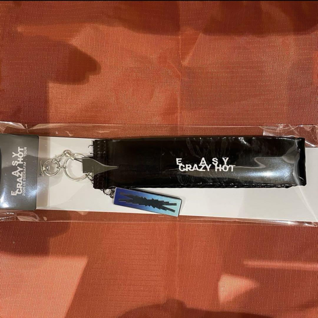 

[USED] Luseraphim World Tour Incheon Strap Keyring