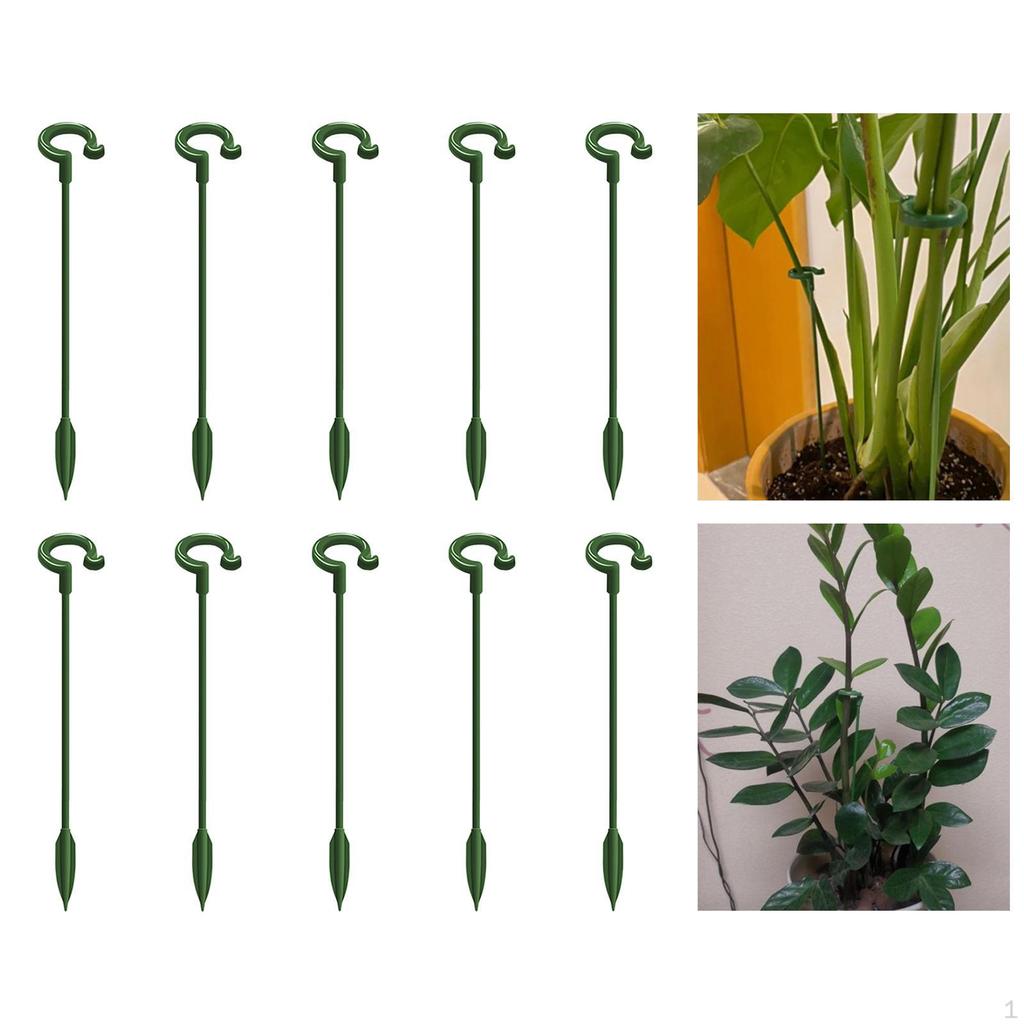 Support Stakes Roses Lilies