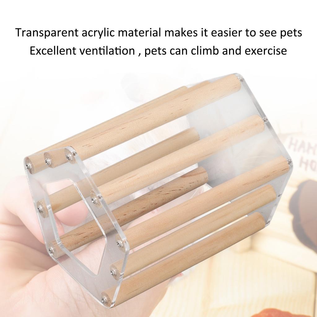 Minimalist Pentagonal Hamster Wooden House Ventilated Transparent Hamster Cabin for Hamster Golden Br