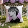 Singer W-Wang Yibo Cushion Cover Home & Car Dual-Scene Pillow Cover: Reversible For Premium Comfort