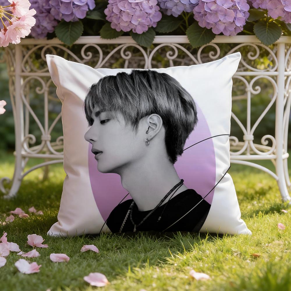 Singer W-Wang Yibo Cushion Cover Home & Car Dual-Scene Pillow Cover: Reversible For Premium Comfort