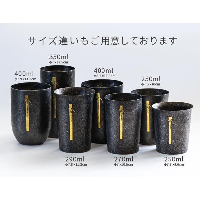 HORIE Niigata-Sanjo Titanium Double Tumbler GUNMETA Black Wide Mouth 290ml