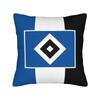 Lizzies Cartoon McGuires Square Pillow Cases  Cushion Covers Funny Zipper Decor Pillowcover for Car cm