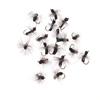 6pcs/Box Fly Fishing Flies Dry Fly Black Foam Ant for Riverine Trout, Panfish, Bass, Grayling, and Carp Fishing Lures