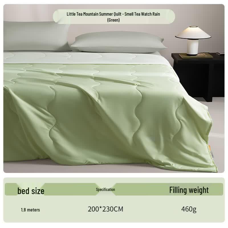 Jialisi Machine Washable Summer Cooling Quilt