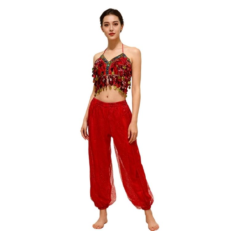 Lady Belly Dancer Costume Belly Dancing Sequins Bra Tops Lantern Pants Trousers Halloweem Performances Costume for Womens