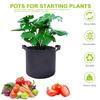 Plant Grow Bags Breathable Felt Polypropylene Webbing Plant Grow Pots Garden Planting Containers with Handles