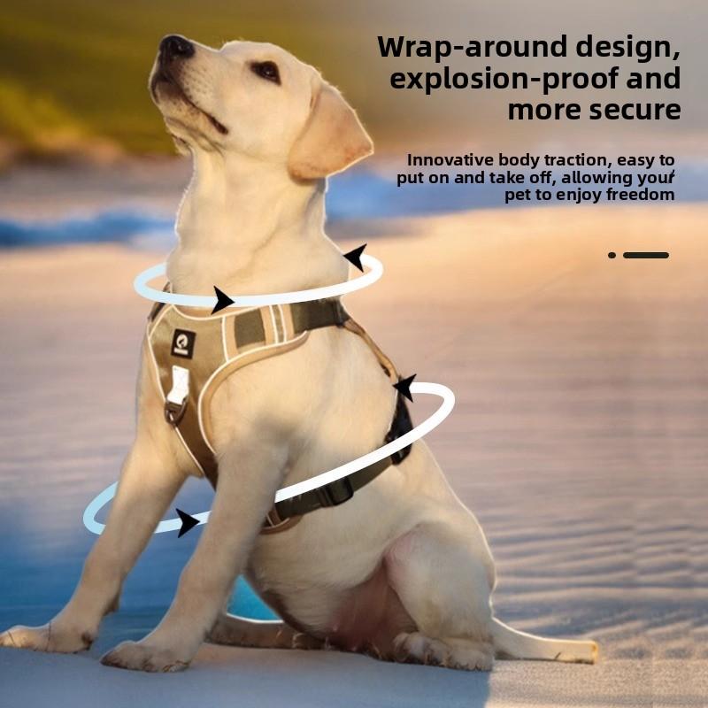 Große Hundeleine, Explosionssicheres Spülweste-Typ Brust- und Rückengeschirr, Mittlere und Große Hundespazierleine, Hundekette