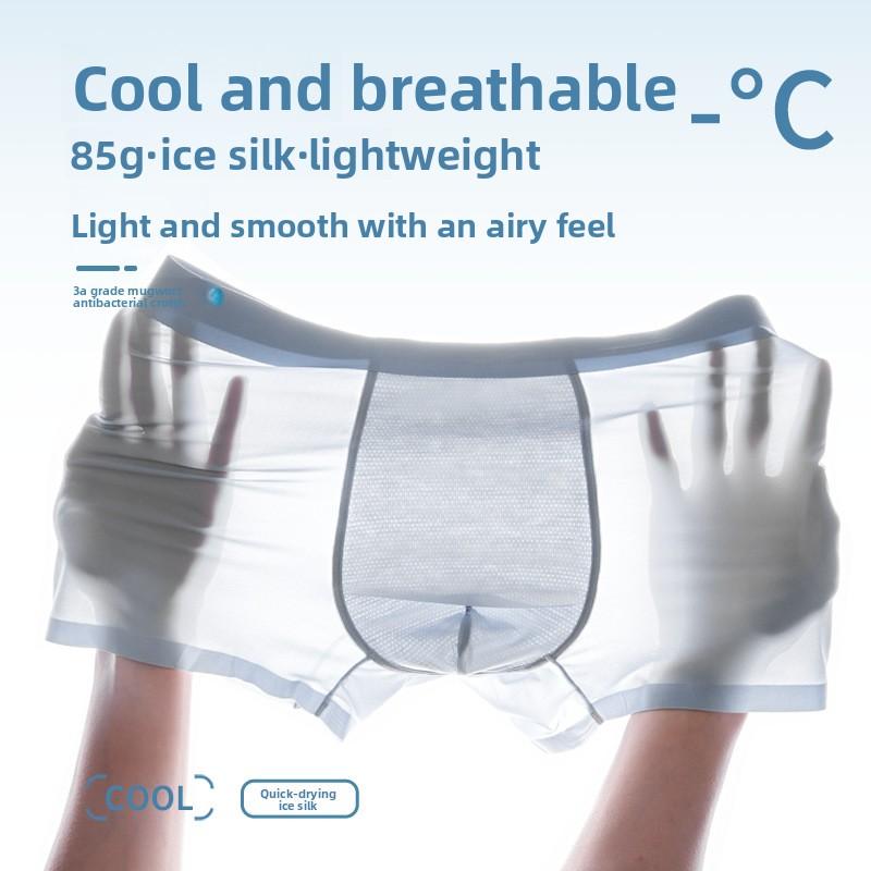 Men's Summer Casual Ice Silk One Piece Seamless Antibacterial Underwear