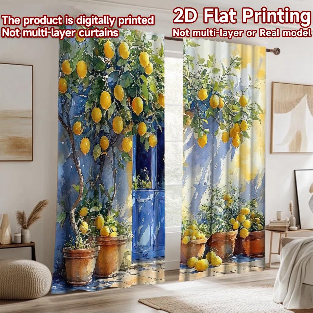 2D flat Photography Backdrop Background Banner Blue Door Lemon Garden 100% Polyester Family Party Use for Suitable for