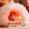 Comfortable Hamster Plush Nest Soft Winter Pet Nest Fluffy Hamster Cage  Pet Accessories