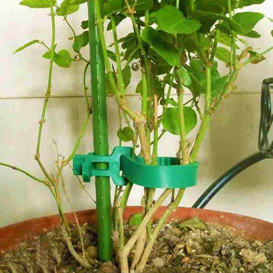 10Pcs Reusable Adjustable Tree Fixing Buckle Plastic Climbing Plants Tree Ties Garden Supplies