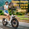 Skládací elektrokolo Ttgo F6 250W motor 36V20Ah lithiová baterie hydraulická brzda EBike maximální dojezd 100 km terénní elektrokolo