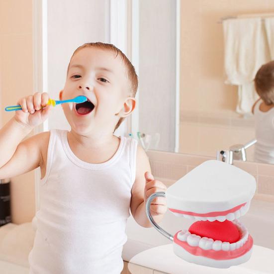 6X Enlarged Dental Teaching Model with Tongue Removable Teeth for Brushing Practice PVC Oral Demo Tool for Kids Students