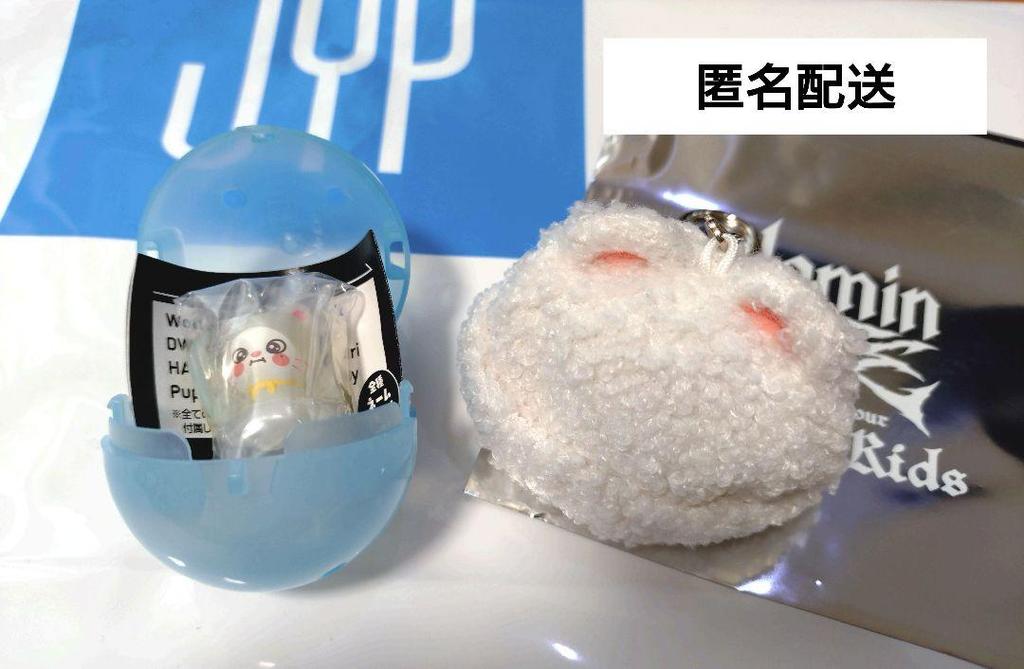 [USED] Stray Kids Mini Boa Cap & Sign Accessory Hyunjin Genielet