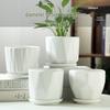Elegant White Ceramic Flower Pot with Tray - Ideal for Ivy, Spider Plants, and Succulents