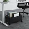 Rollwagen, Stabiler und mobiler Aufbewahrungsorganisator für Zuhause, Büro, Küche und mehr.