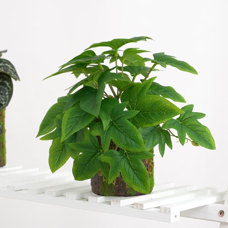 Artificial Monstera Deliciosa Green Plant For Home Decor And Photography Props