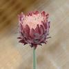 Decorațiuni pentru casă – Flori decorative şi coroane de flori