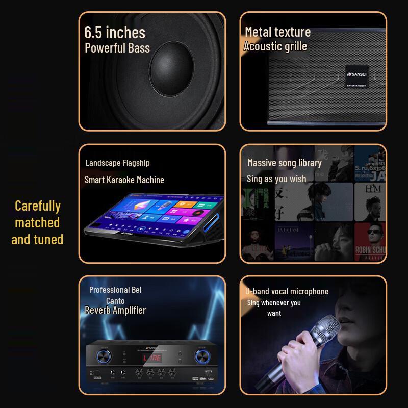 SANSUI Professional KTV Home Karaoke Speaker System CN Plug (adapter Included)