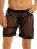 Men's Briefs Sheer Mesh Loose Lounge Boxer Shorts Panties Briefs Homewear Beachwear
