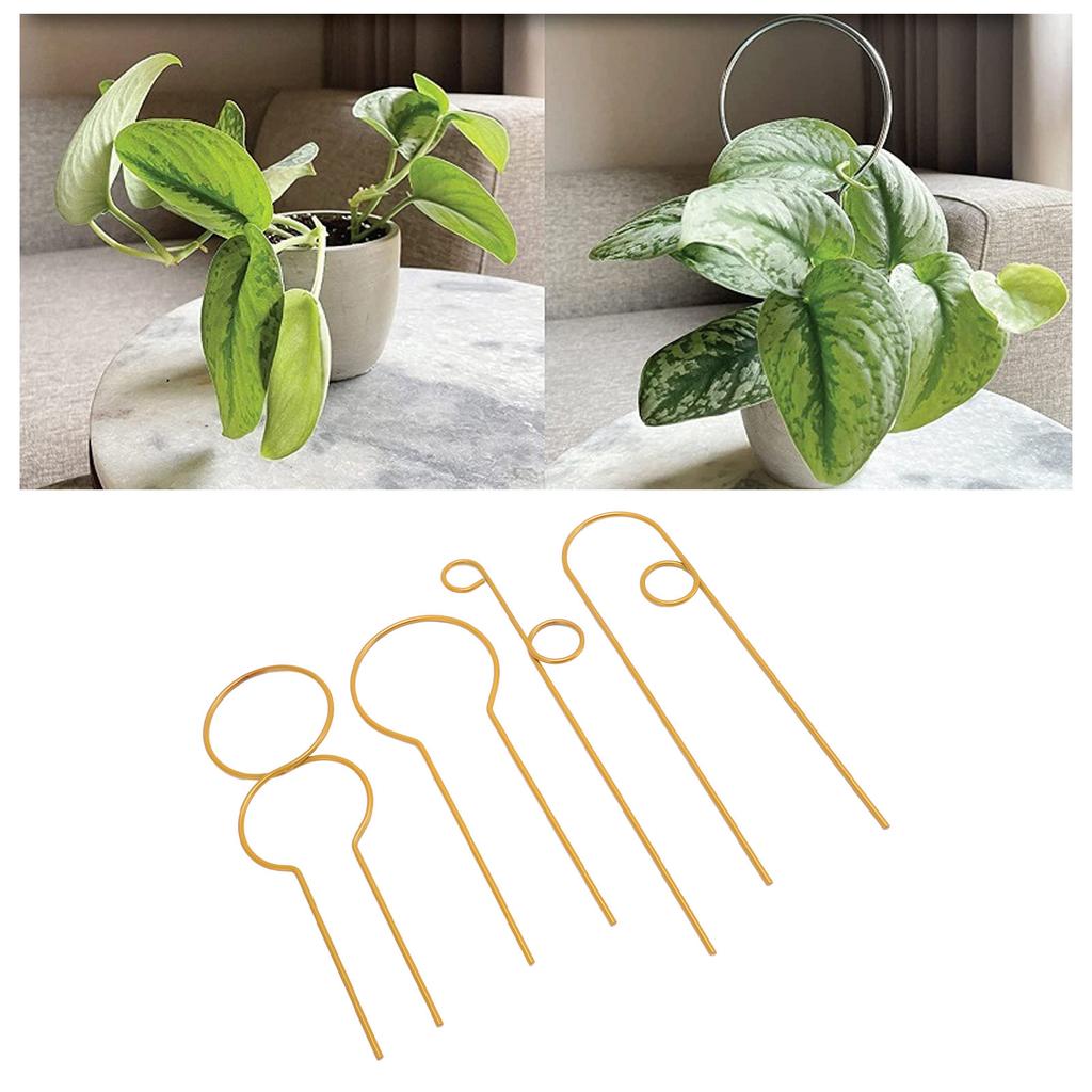 4pcs Plant   Rust Proof Stylish Metal Climbing Plant   for Home Garden Potted Plant