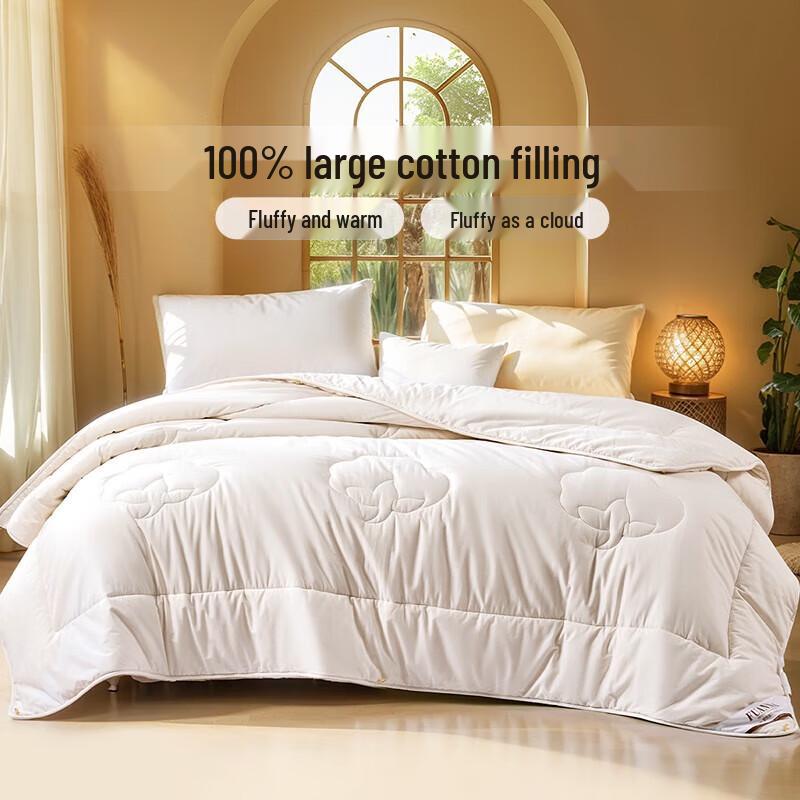 

Fuanna A-Class Thickened Winter Quilt