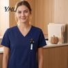 Decorative Badge Holder for Doctors Halloween Black Cat Pumpkin Reel, Retractable with 360 Degree Rotating Clip, Student Id Card Protector Acrylic