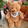 28-50cm JC Urs Bashful Barcelona Porcul Barnabus Jucărie de Pluș Perna pentru Somn Confortabilă Păpușă Canapea Pernă Moale pentru Îmbrățișare Ornament pentru Birou Cadou