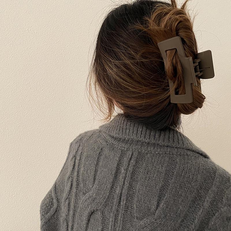 Large Frosted French Morandi Hair Clip - Shark Hairpin Accessory