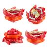 Firebrand B-153c Four In One Spinning Top Toy Set With Colorful Light Features