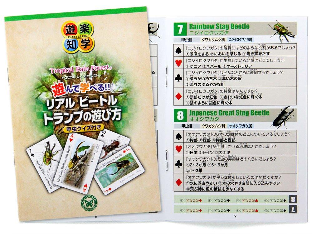 Carolata Real Beetle Hrací karty Jelen Nosorožec Vzdělávací Hrací Ilustrovaný Dárek (Brouk/Kvíz v ceně/Plast) Brouk, Brouk, Hračka, Hračka,