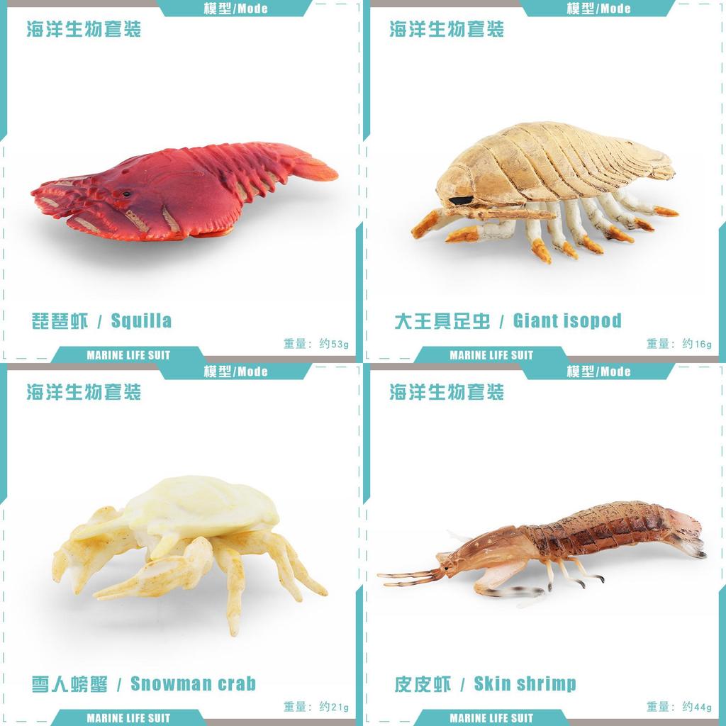Underwater Animal Pvc Pipi Shrimp And Crab Sculptures Pack With Lifelike Marine Creatures For Aquarium Display
