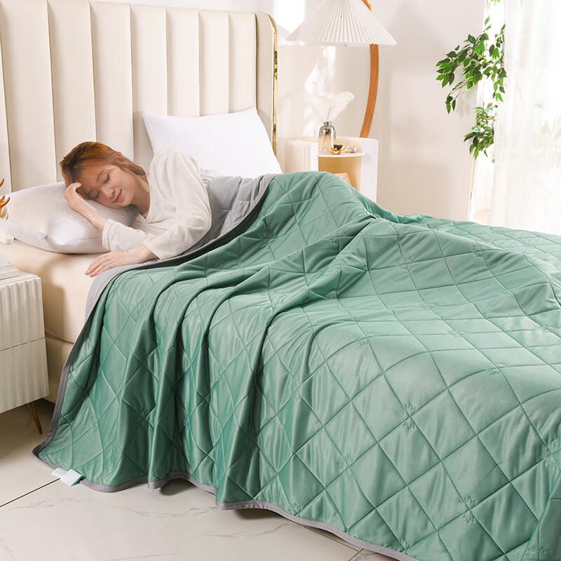 Mugwort Cooling Silk Summer Comforter