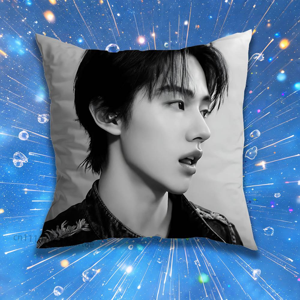 SsEONGHYEON CCORTIS Pillow Case For Home Bedroom Car Office Decoration Living Room Sofa Cushion Cover Suitable
