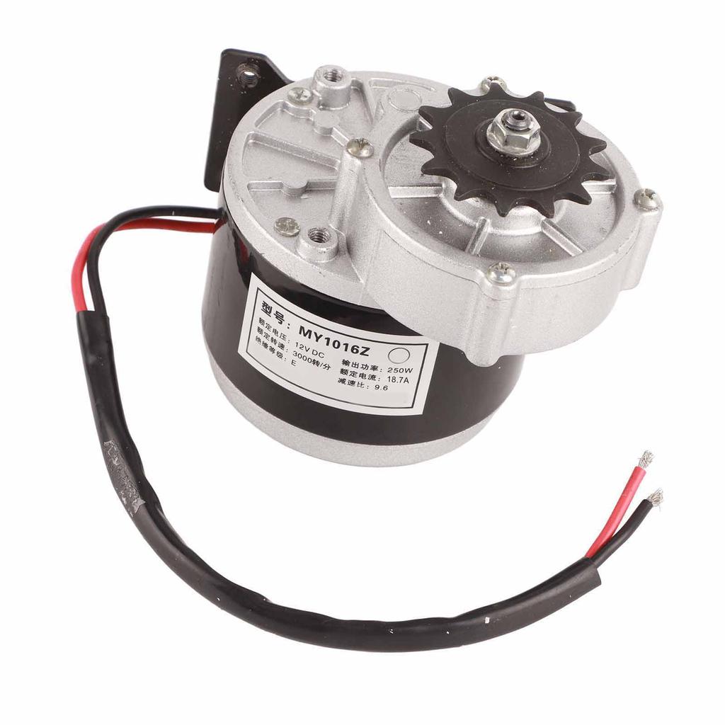 DC Brushed Motor 12V 250W 13 Tooth Reducer Motor for Electric Bikes Small Motorcycles Agricultural