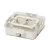 Snack Box Container with Multiple Compartments BPA Free Transparent Lid Design Refrigerator Organizer Food Storage Box