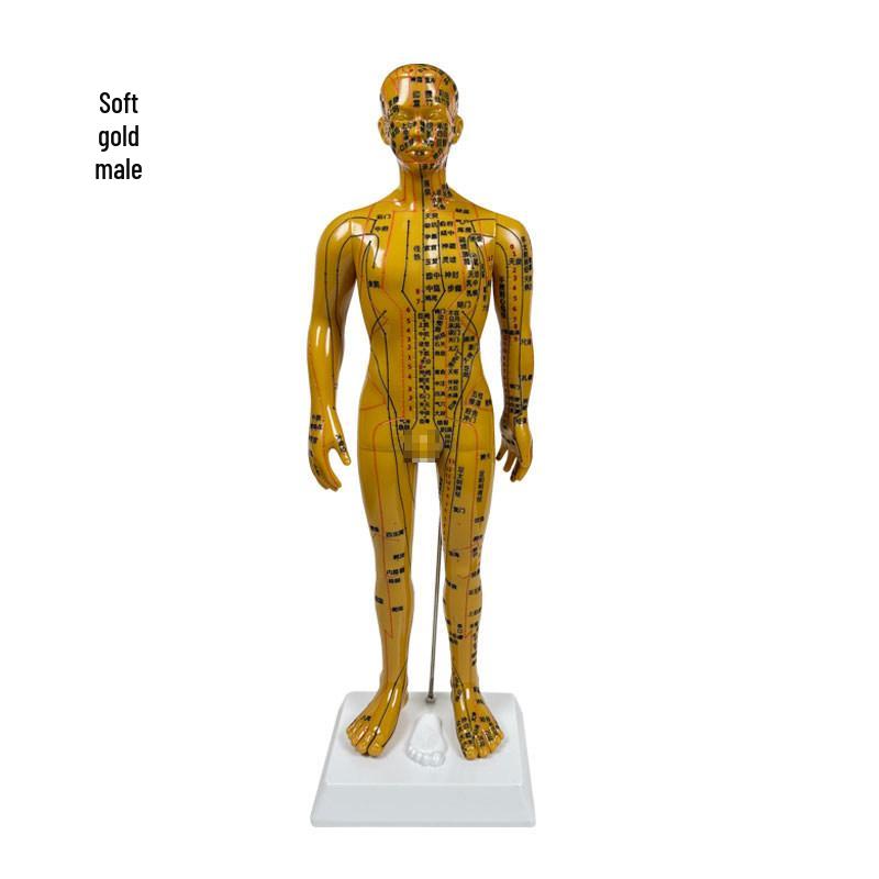 Runshi Meridian Human Body Massage Acupoints Model for TCM Teaching - Soft Simulation Material