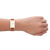 Skagen HAGEN LILLE SKW3097 Women's Brown Watch