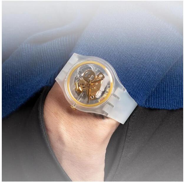 Watch Swatch SVIZ102-5300
