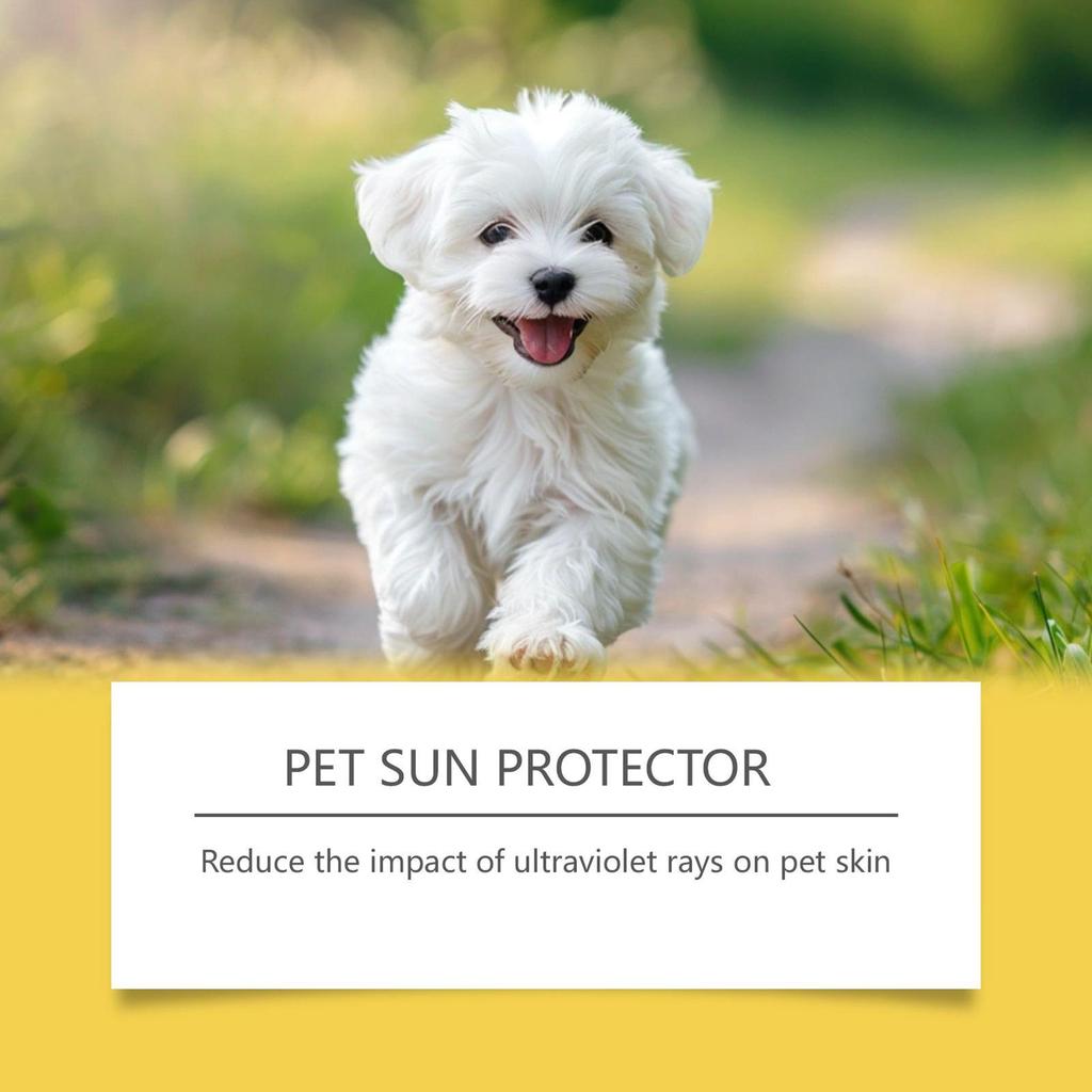 60ml Natural Dog Sunscreen Spray UV Protection Moisturizing for Hot Weather Outdoor Hiking Trip Swimming Beach Daily Pet Use