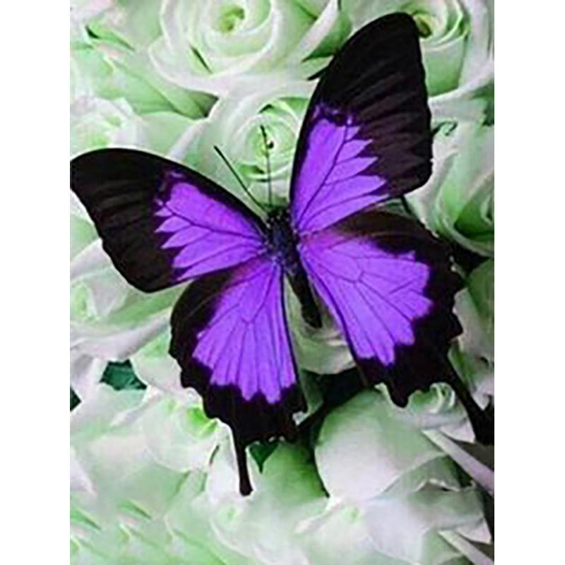 

DIY 5D алмазная живопись Бабочка полная круглая дрель цветочная Алмазная вышивка крестиком мозаика стены книги по искусству домашний декор Full Round 20x30CM