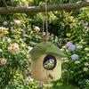 Weatherproof Hanging Leaf Bird House Waterproof Bird Shelter Creative Wild Birds Habitat  Courtyard