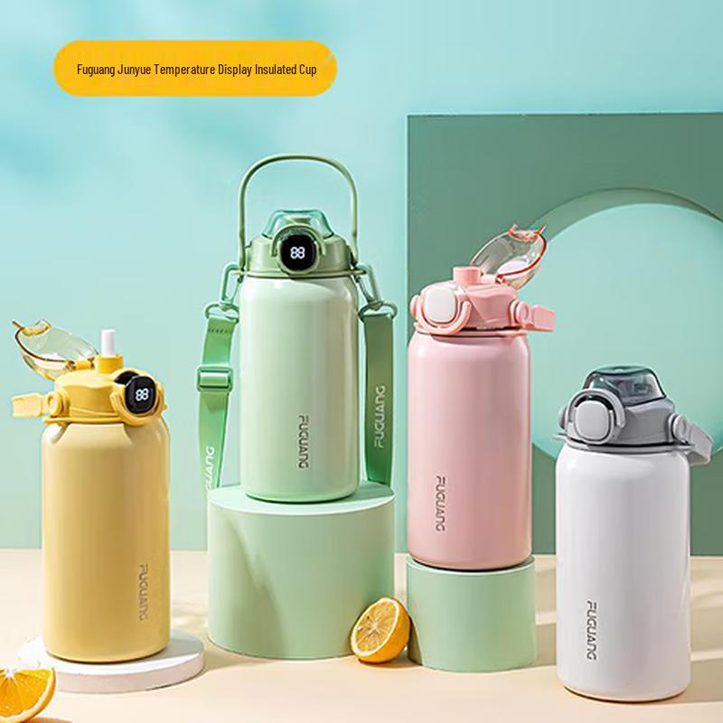 Fuguang Junyue 316L Stainless Steel Insulated Straw Bottle