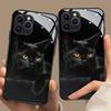 Cute Black Cat Pattern Tempered Glass Black Phone Case For iPhone 17 Pro Max 16 15 14 13 12 11 Pro 17 Air 7 8 Plus XR XS X Cover