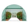 Walk-in Tunnel Greenhouse 19.36x9.68x6.5ft Galvanized Frame PE Cover Green